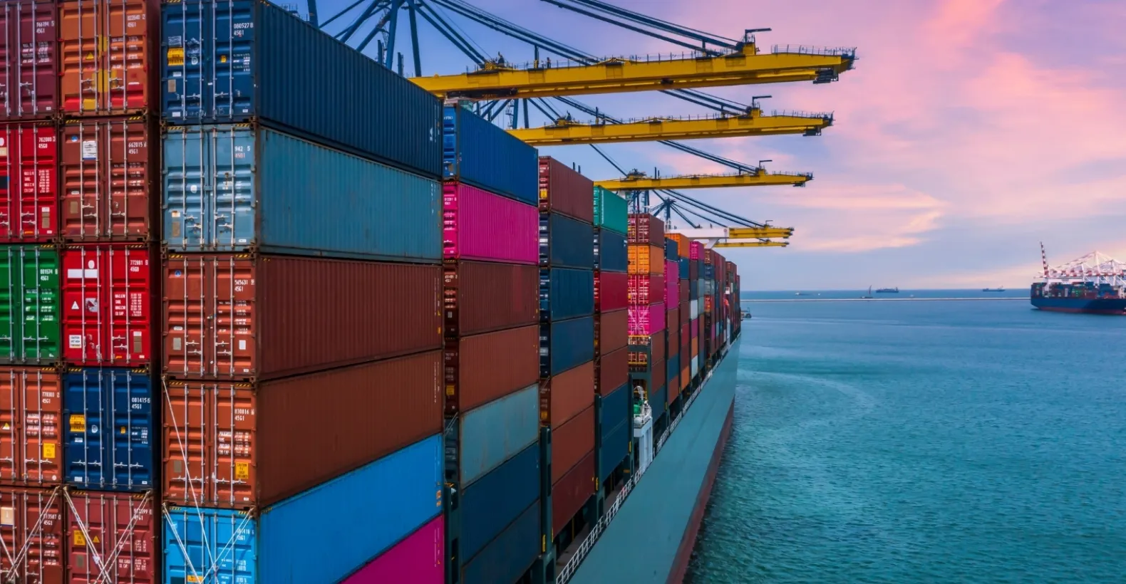 Bridge Between You and Türkiye