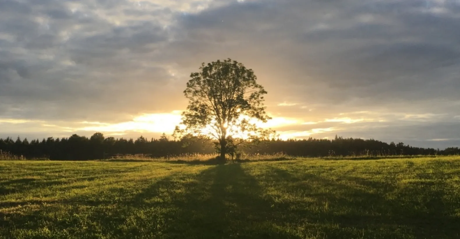 Everything You’re Looking for — Made in Türkiye